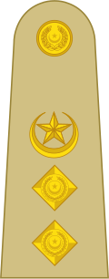 Imagen ilustrativa de Coronel del Ejército de Pakistán: Rango y Significado