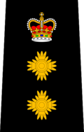 Insignia de rango policial