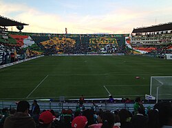 Campo de juego