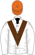 Colores de jinete blanco y naranja