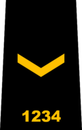 Insignia de rango policial