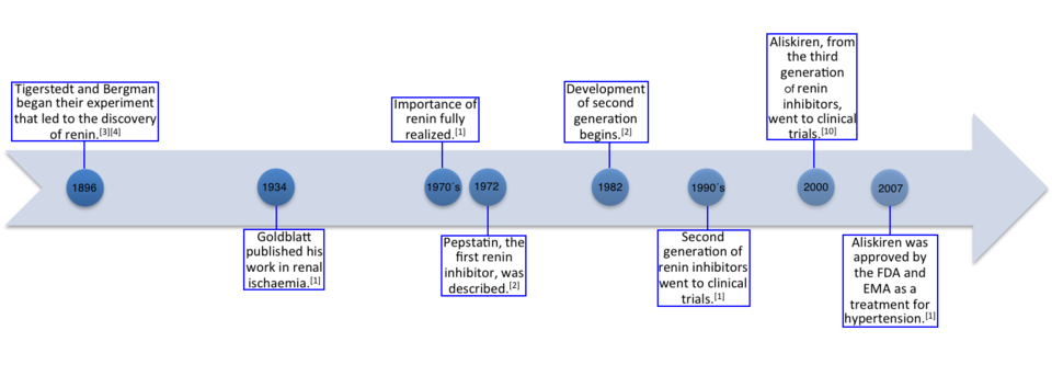 Esquema del sistema renina-angiotensina-aldosterona