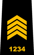 Insignia de rango policial
