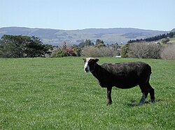 Cercado de campo