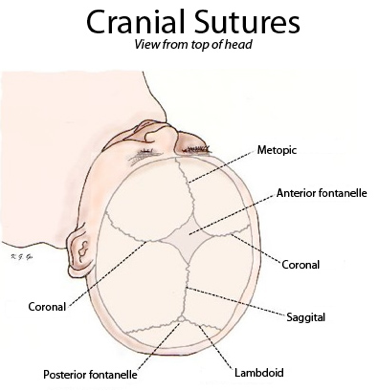 Imagen ilustrativa de Cirugía Craniofacial: Tratamientos y Procedimientos