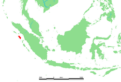 Imagen ilustrativa de Nias: Descubre la Isla y el Archipiélago de Indonesia