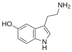 Distribución de la serotonina