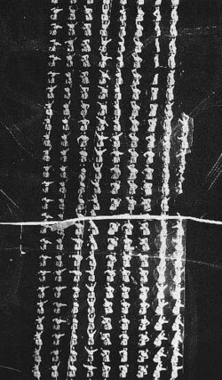 Desarrollo del Kinetoscope