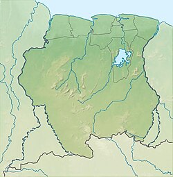 Imagen ilustrativa de Río Commewijne: Corazón Fluvial de Suriname