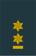 Imagen ilustrativa de Teniente Coronel: Rango Militar y Significado