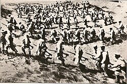 Símbolos de infantería de marina
