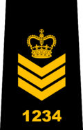 Insignia de rango policial