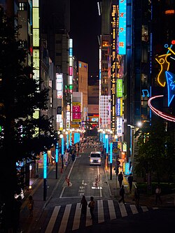 Shinjuku nocturno