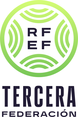 Imagen ilustrativa de Tercera Federación: Estructura y Funcionamiento del Quinto Nivel del Fútbol Español