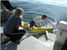 Componentes de un planeador submarino