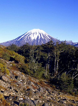 Imagen ilustrativa de Parque Nacional Tongariro: Volcanes y Cultura Māori