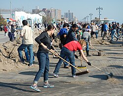 Voluntarios trabajando en equipo