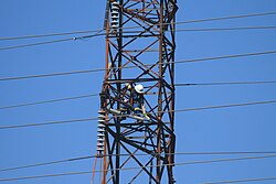 Imagen ilustrativa de Corporación Eléctrica de Nuevo Brunswick