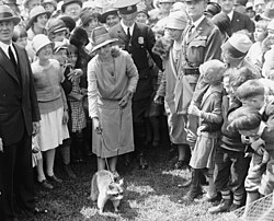 La familia Coolidge