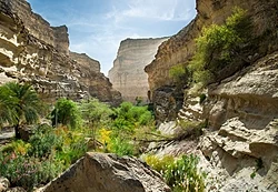 Paisaje montañoso