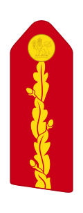 Imagen ilustrativa de Rangos e Insignias de las Fuerzas Armadas Canadienses