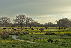 Paisaje natural de Shipley