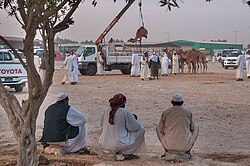 Industria y comercio en Abu Hamour