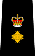 Insignia de rango policial
