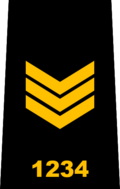 Insignia de rango policial
