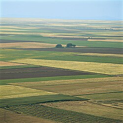 Campos sembrados
