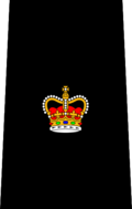 Insignia de rango policial