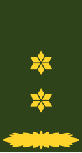 Insignia de Teniente Coronel del Ejército Real de los Países Bajos
