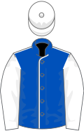 Colores de jinete azul y blanco