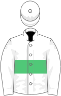 Colores de jinete blanco y verde