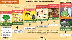 Clasificación de los seres vivos en el jainismo